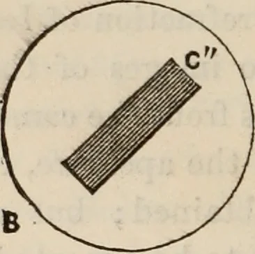 An illustration from Six lectures on light : delivered in America in 1872-1878, 1886, leaf 151