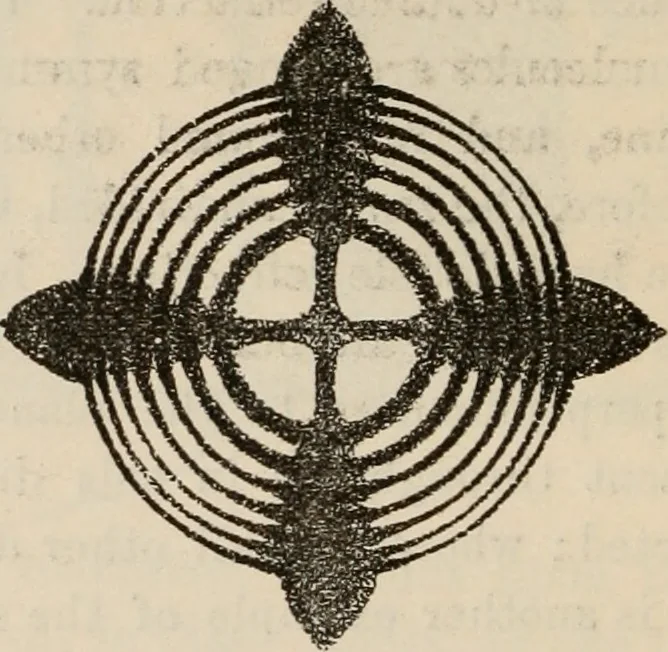 An illustration from Six lectures on light : delivered in America in 1872-1878, 1886, leaf 179