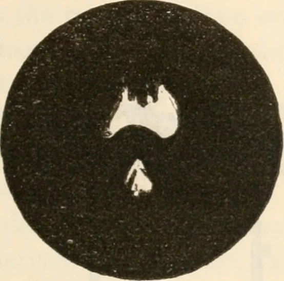 An illustration from Six lectures on light : delivered in America in 1872-1878, 1886, leaf 214