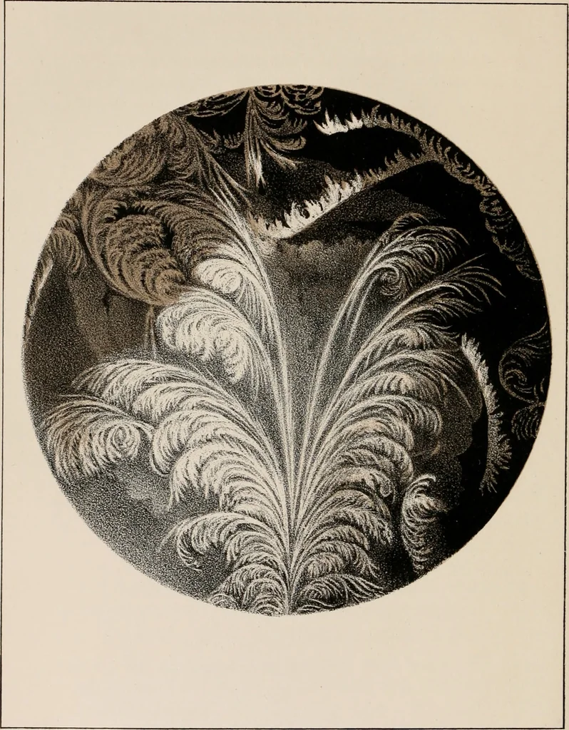 An illustration from Six lectures on light : delivered in America in 1872-1878, 1886, leaf 281