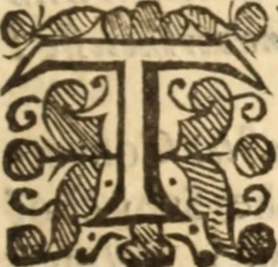 An illustration from Six sermons .., 1651, leaf 156