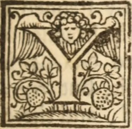 An illustration from Six sermons .., 1651, leaf 40