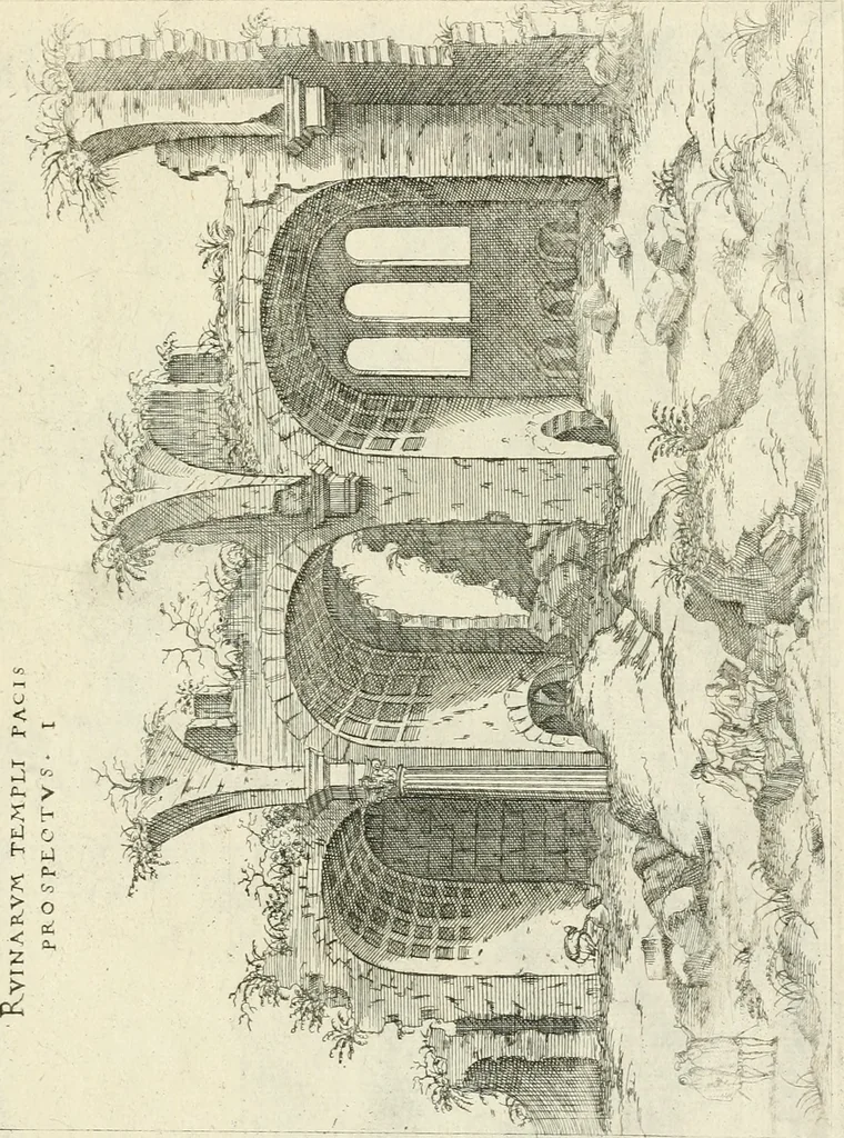 An illustration from [Six suites of engravings], 1549, leaf 46