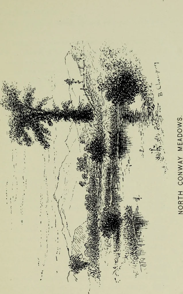 An illustration from Sixty years' memories of art and artists, 1900, leaf 208