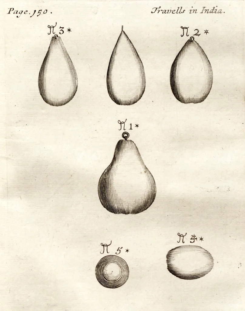 An illustration from The six voyages of John Baptista Tavernier, 1678, leaf 462