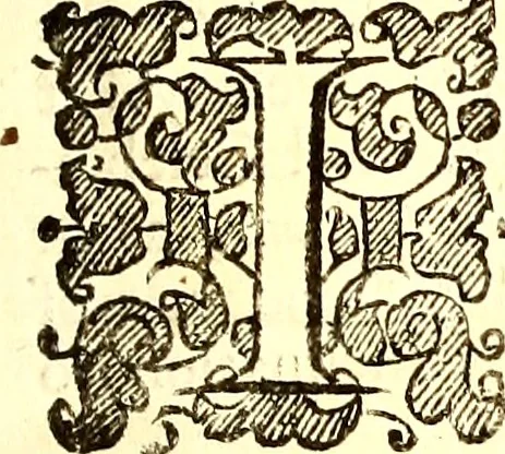 An illustration from The six voyages of John Baptista Tavernier, 1678, leaf 10