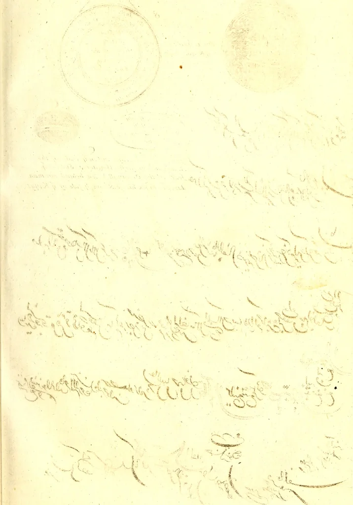 An illustration from The six voyages of John Baptista Tavernier, 1678, leaf 218