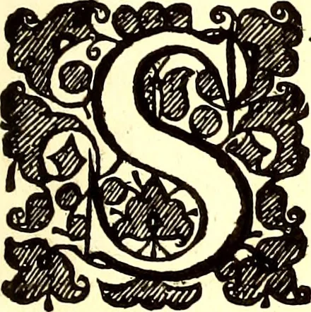 An illustration from The six voyages of John Baptista Tavernier, 1678, leaf 26