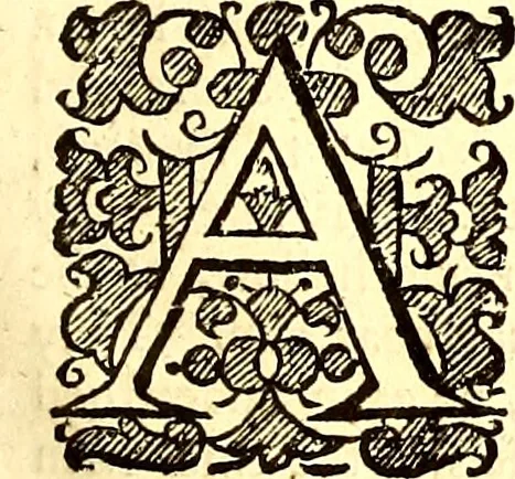 An illustration from The six voyages of John Baptista Tavernier, 1678, leaf 28