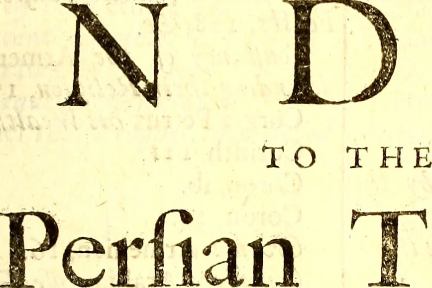 An illustration from The six voyages of John Baptista Tavernier, 1678, leaf 294