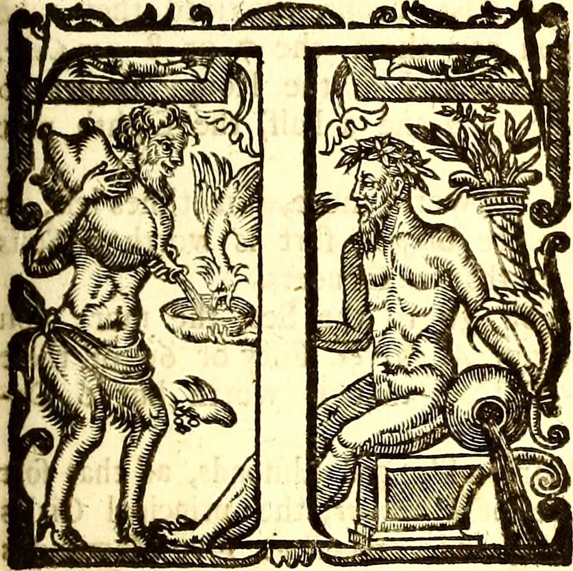 An illustration from The six voyages of John Baptista Tavernier, 1678, leaf 302