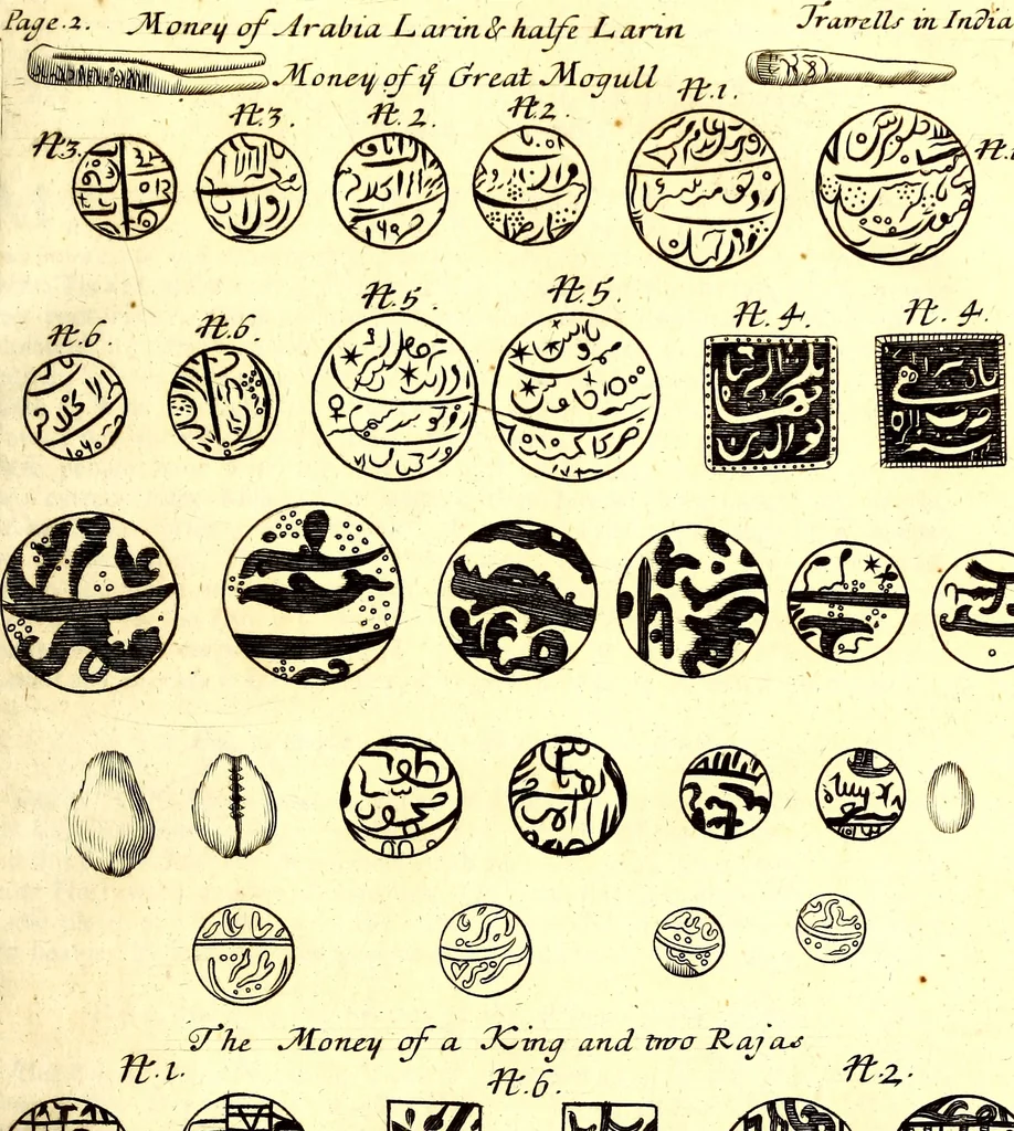 An illustration from The six voyages of John Baptista Tavernier, 1678, leaf 304