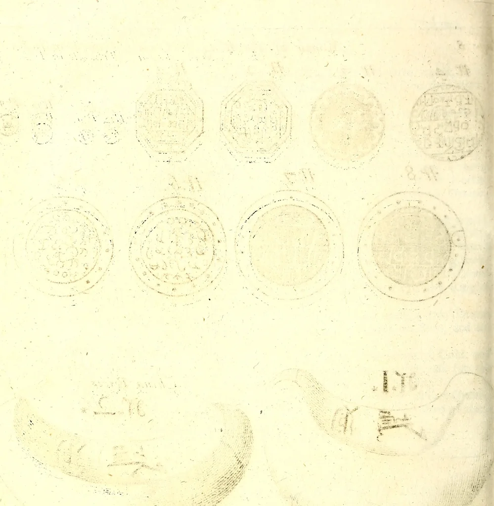 An illustration from The six voyages of John Baptista Tavernier, 1678, leaf 317