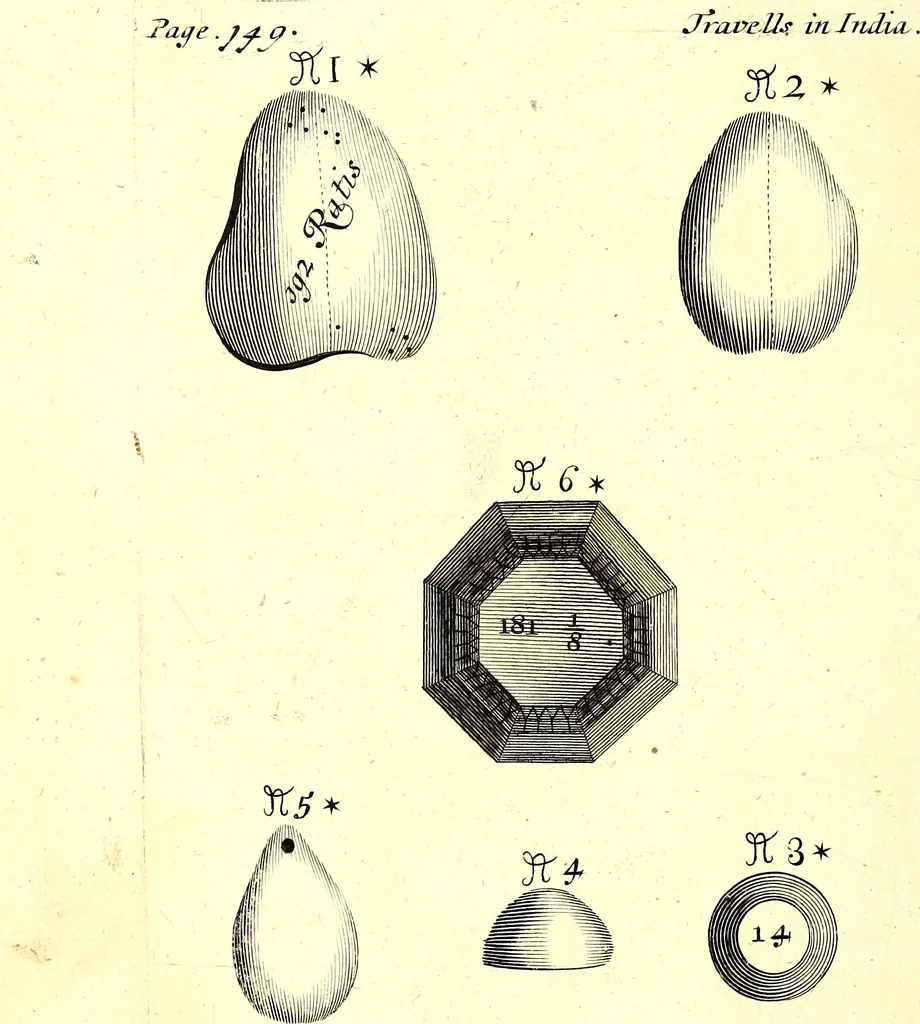 An illustration from The six voyages of John Baptista Tavernier, 1678, leaf 467