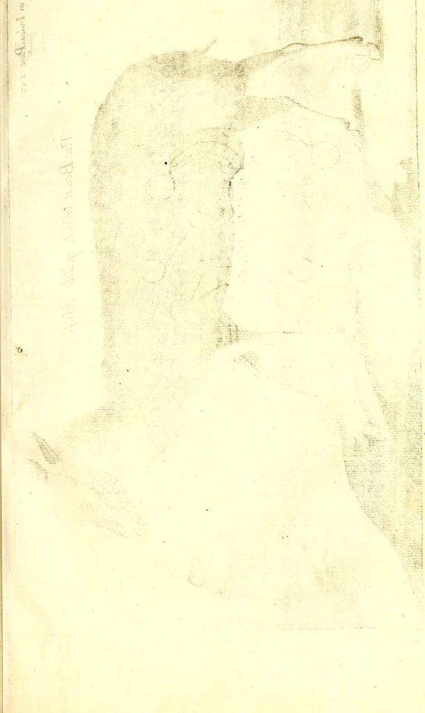 An illustration from The six voyages of John Baptista Tavernier, 1678, leaf 478