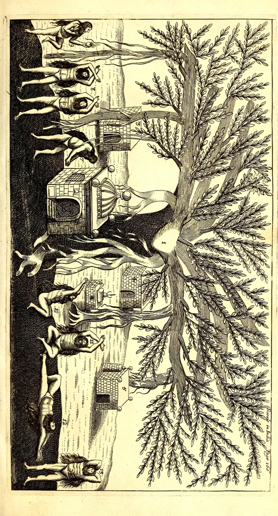 An illustration from The six voyages of John Baptista Tavernier, 1678, leaf 494