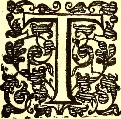 An illustration from The six voyages of John Baptista Tavernier, 1678, leaf 654