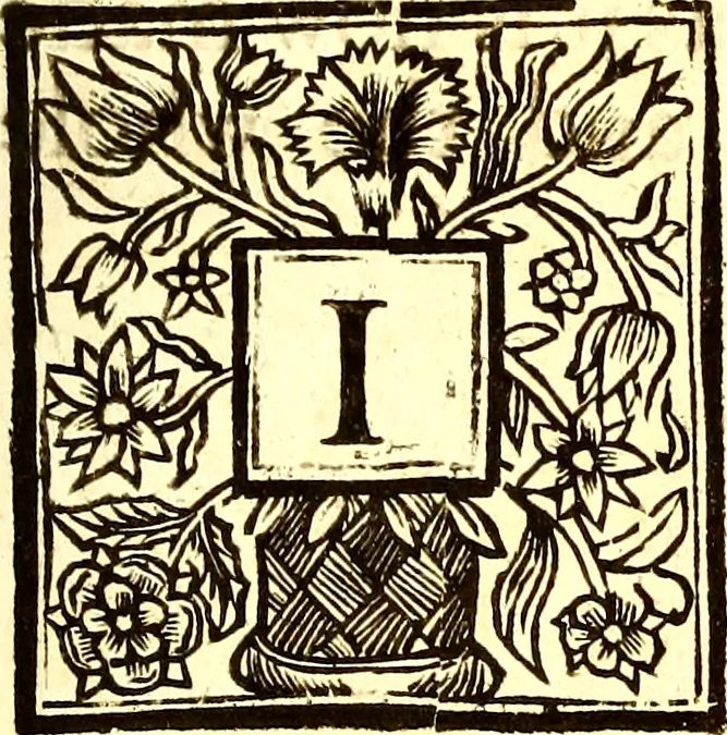 An illustration from The six voyages of John Baptista Tavernier, 1678, leaf 8