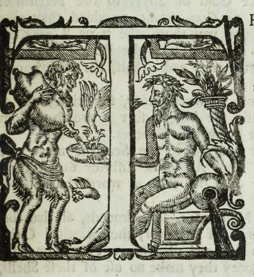 An illustration from The six voyages of John Baptista Tavernier, a noble man of France now living : through Turky into Persia and the East-Indies, finished in the year 1670 : giving an account of the state of those countries : illustrated with divers sculptures : together with a new relation of the present Grand Seignor's seraglio, by the same author, 1678, leaf 301