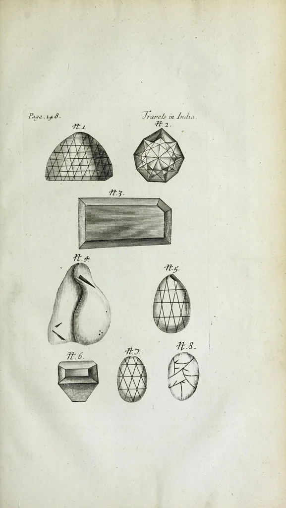 An illustration from The six voyages of John Baptista Tavernier, a noble man of France now living : through Turky into Persia and the East-Indies, finished in the year 1670 : giving an account of the state of those countries : illustrated with divers sculptures : together with a new relation of the present Grand Seignor's seraglio, by the same author, 1678, leaf 463