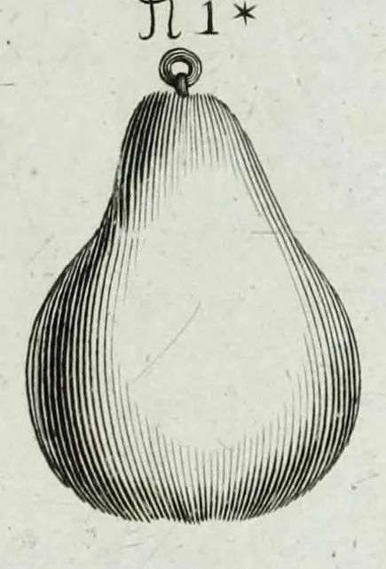 An illustration from The six voyages of John Baptista Tavernier, a noble man of France now living : through Turky into Persia and the East-Indies, finished in the year 1670 : giving an account of the state of those countries : illustrated with divers sculptures : together with a new relation of the present Grand Seignor's seraglio, by the same author, 1678, leaf 471