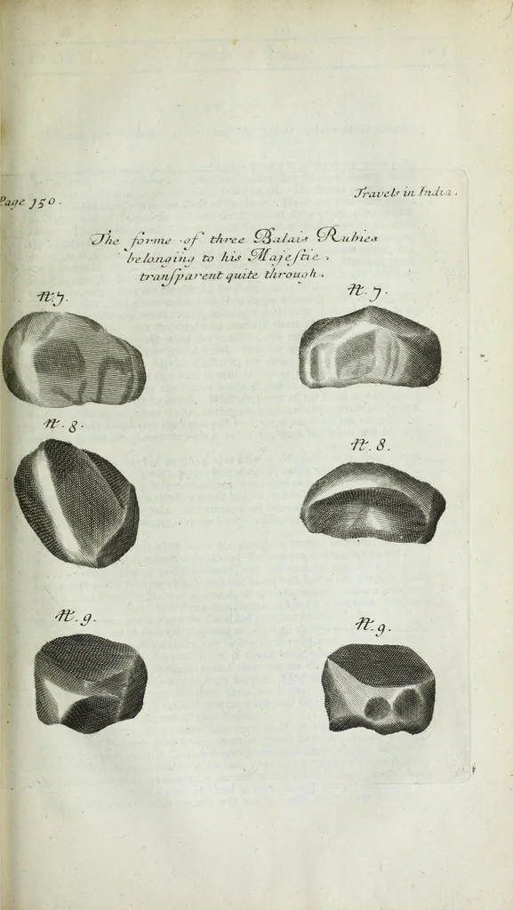 An illustration from The six voyages of John Baptista Tavernier, a noble man of France now living : through Turky into Persia and the East-Indies, finished in the year 1670 : giving an account of the state of those countries : illustrated with divers sculptures : together with a new relation of the present Grand Seignor's seraglio, by the same author, 1678, leaf 473