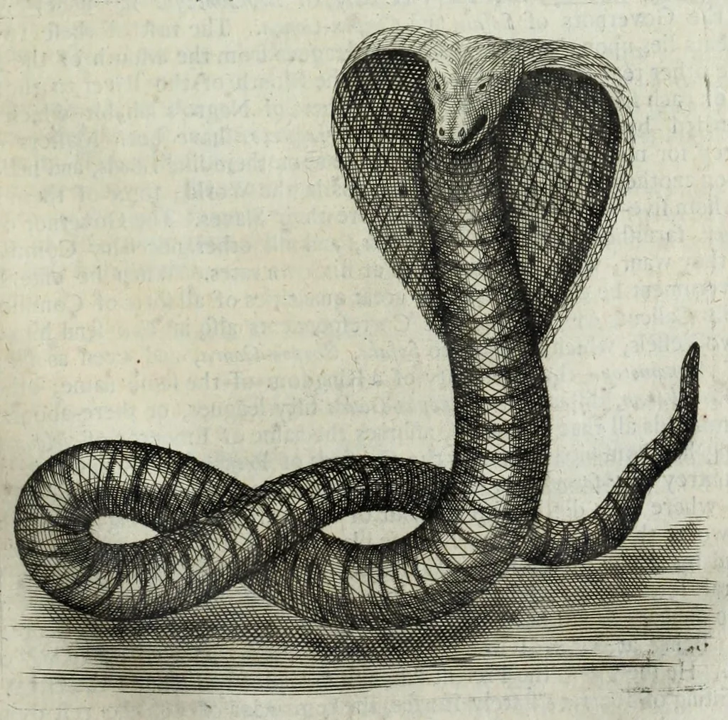 An illustration from The six voyages of John Baptista Tavernier, a noble man of France now living : through Turky into Persia and the East-Indies, finished in the year 1670 : giving an account of the state of those countries : illustrated with divers sculptures : together with a new relation of the present Grand Seignor's seraglio, by the same author, 1678, leaf 481