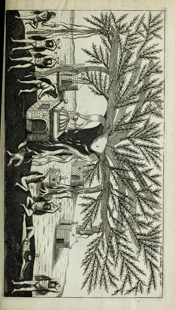 An illustration from The six voyages of John Baptista Tavernier, a noble man of France now living : through Turky into Persia and the East-Indies, finished in the year 1670 : giving an account of the state of those countries : illustrated with divers sculptures : together with a new relation of the present Grand Seignor's seraglio, by the same author, 1678, leaf 493