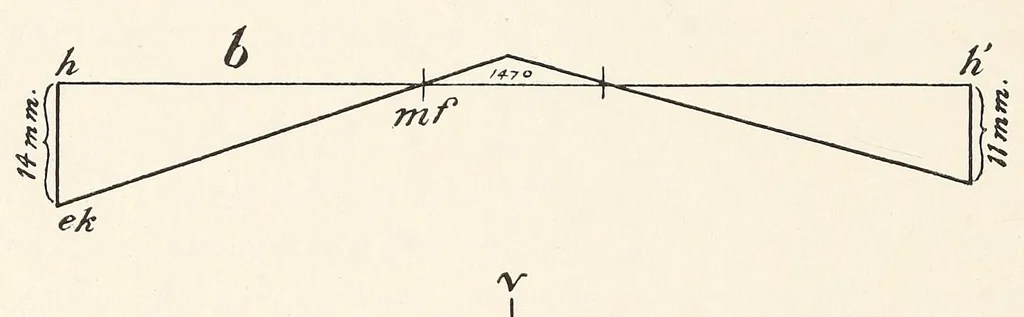 An illustration from Skeletal remains from Santa Barbara, California. : I. Craniology, 1925, leaf 98