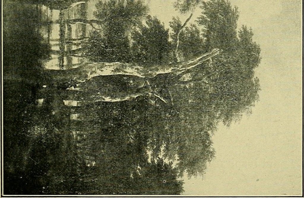 An illustration from Sketches of great painters for young people, 1902, leaf 168