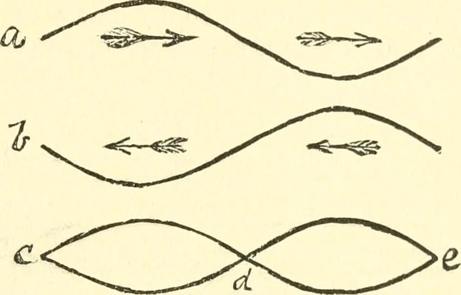 An illustration from Sketch of Prof. John Le Conte ; [and] Sensitive flames and sound-shadows, 1889, leaf 28