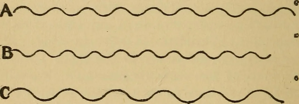 An illustration from The skies and the earth, 1902, leaf 119