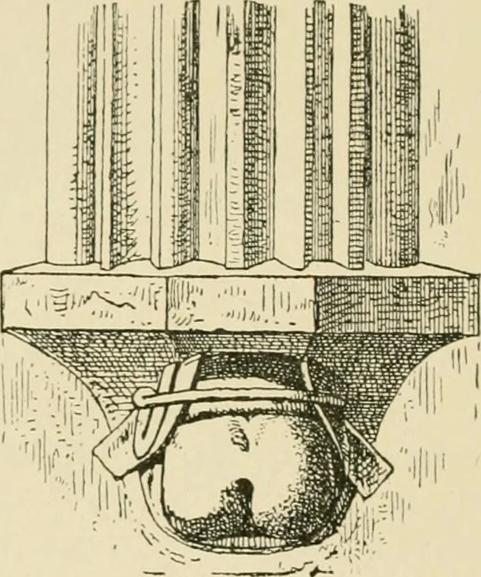 An illustration from Skämtbilden och dess historia i konsten, 1910, leaf 27