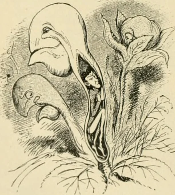 An illustration from Skämtbilden och dess historia i konsten, 1910, leaf 323