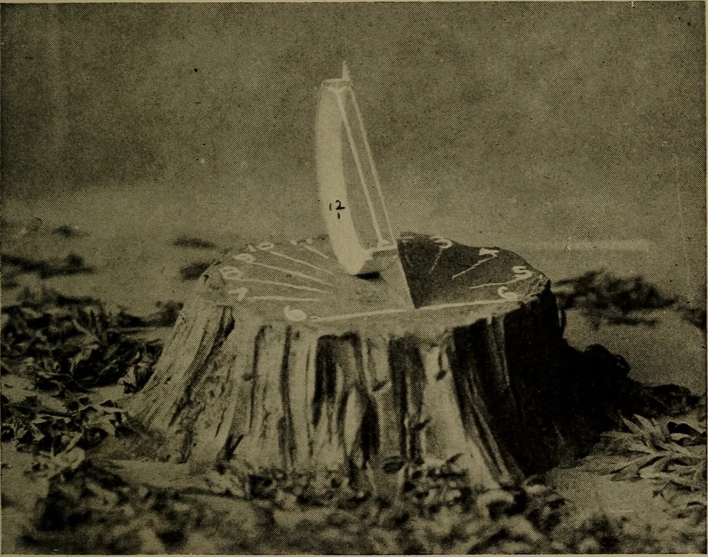 An illustration from The sky movies, 1922, leaf 118
