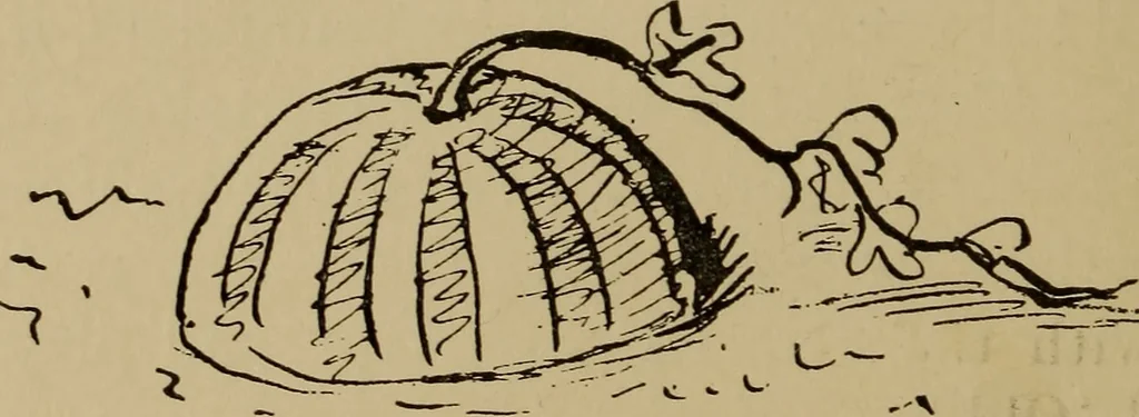 An illustration from The sky movies, 1922, leaf 139