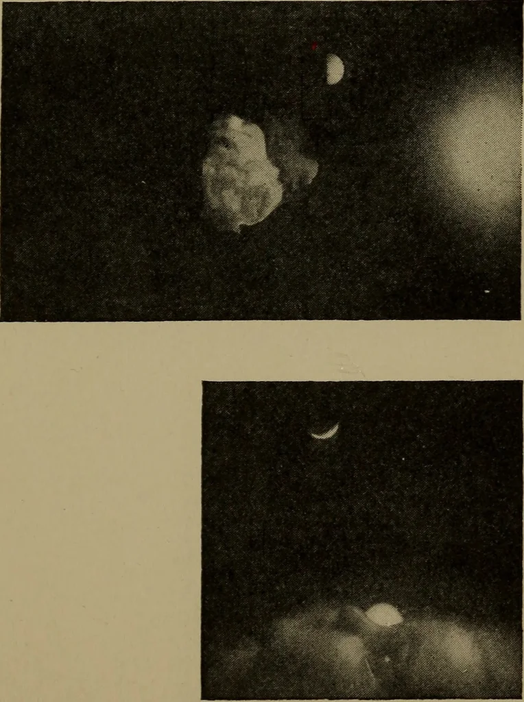 An illustration from The sky movies, 1922, leaf 56