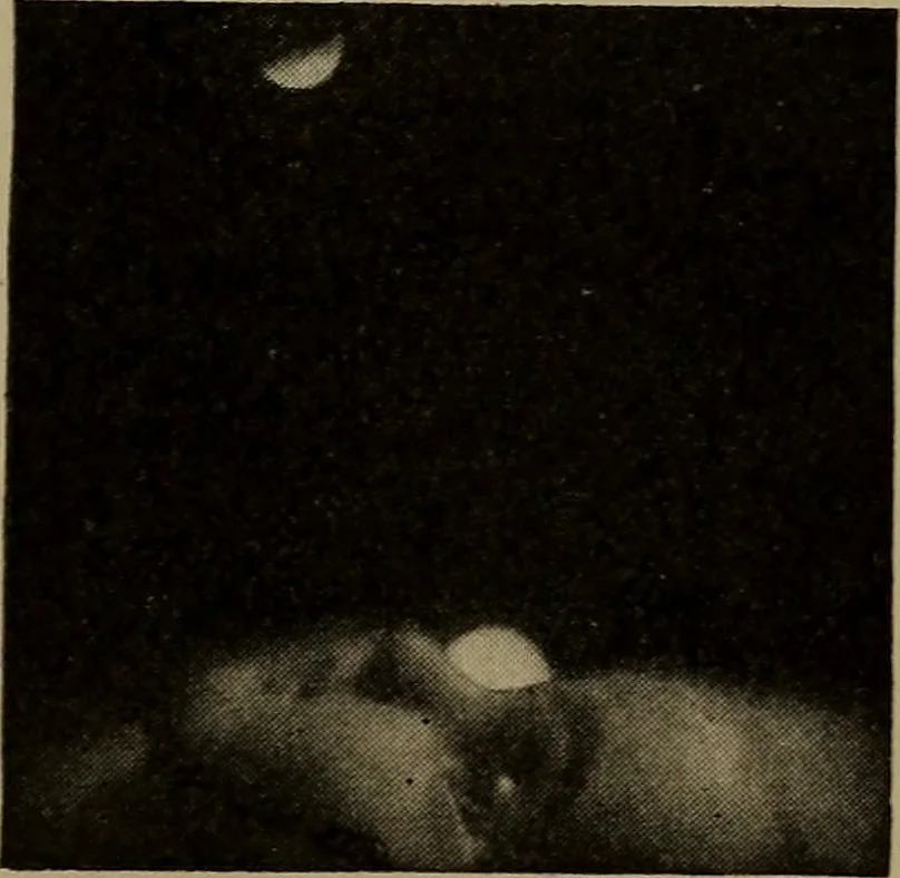 An illustration from The sky movies, 1922, leaf 58