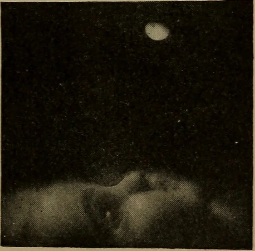 An illustration from The sky movies, 1922, leaf 62