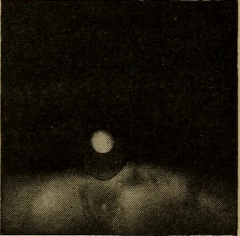 An illustration from The sky movies, 1922, leaf 66