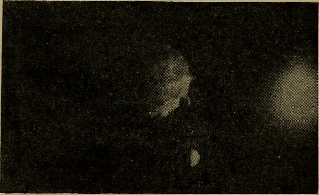 An illustration from The sky movies, 1922, leaf 74