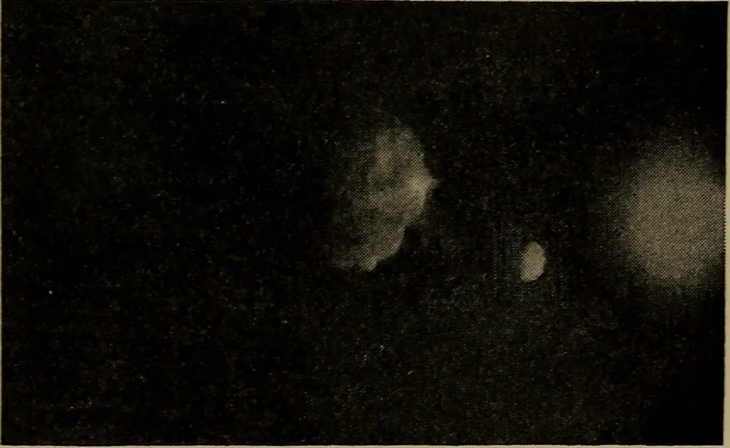 An illustration from The sky movies, 1922, leaf 78