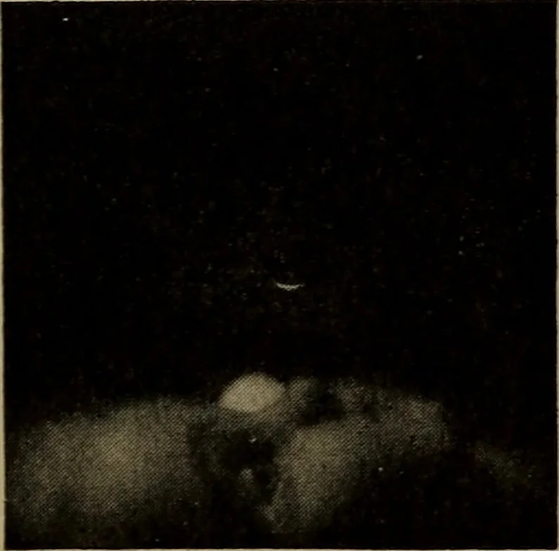 An illustration from The sky movies, 1922, leaf 78
