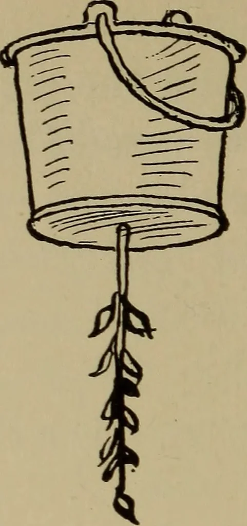 An illustration from The sky movies, 1922, leaf 87