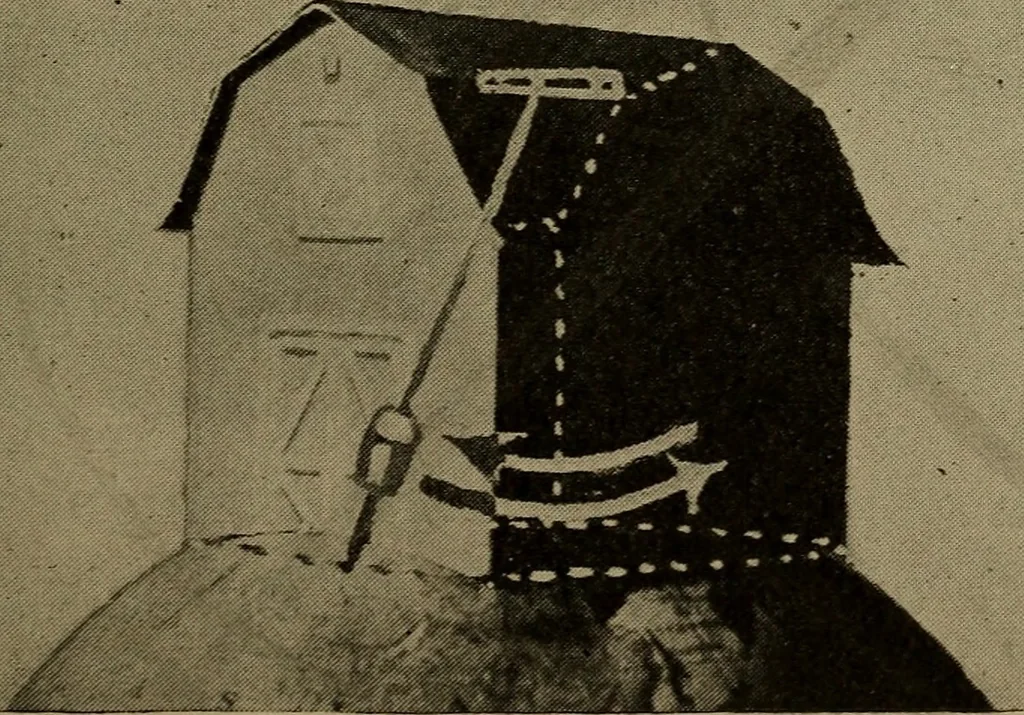 An illustration from The sky movies, 1922, leaf 96