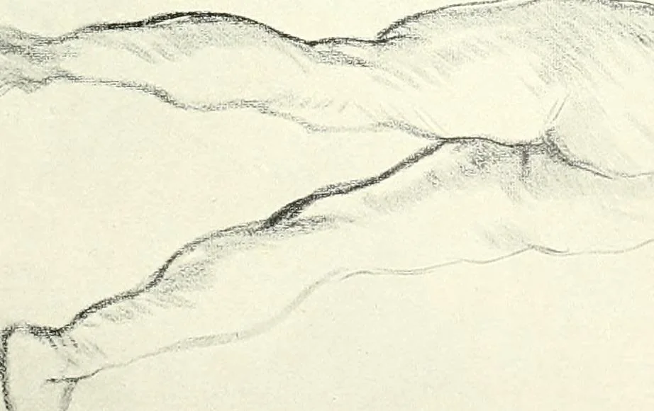 An illustration from The Slade; a collection of drawings and some pictures done by past and present students of the London Slade School of Art, MDCCCXCIII-MDCCCVII, 1907, leaf 168