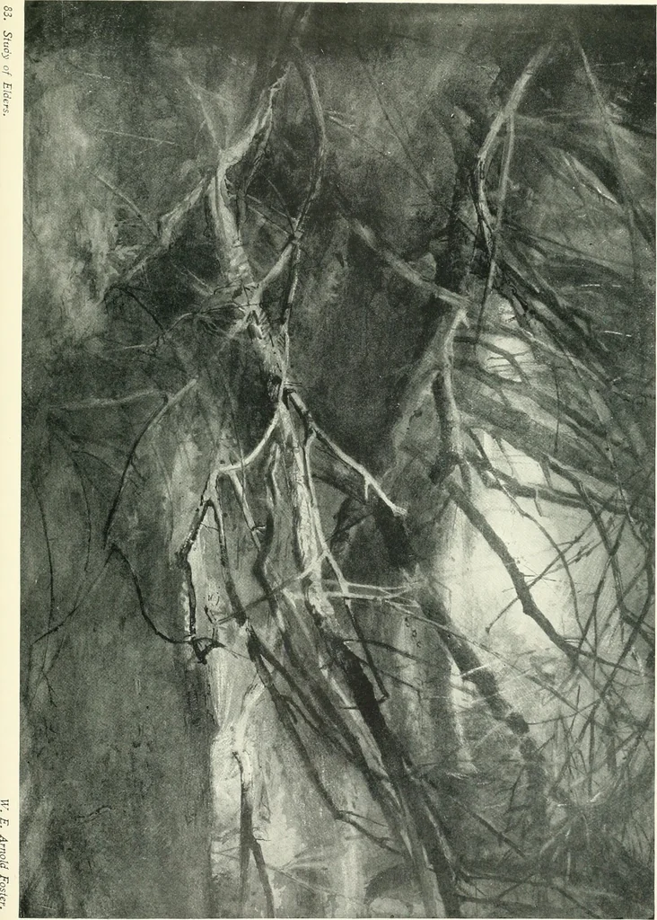 An illustration from The Slade; a collection of drawings and some pictures done by past and present students of the London Slade School of Art, MDCCCXCIII-MDCCCVII, 1907, leaf 196