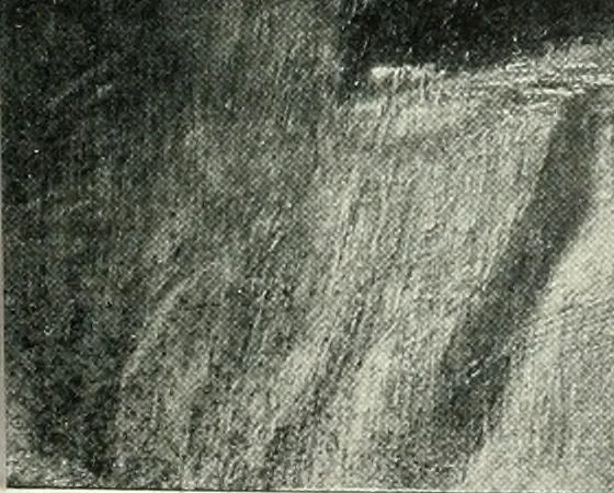 An illustration from The Slade; a collection of drawings and some pictures done by past and present students of the London Slade School of Art, MDCCCXCIII-MDCCCVII, 1907, leaf 220