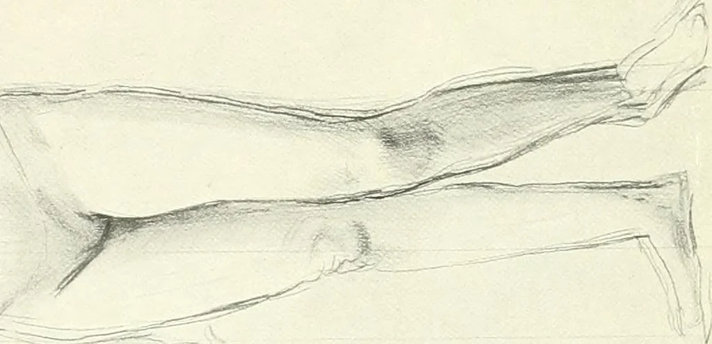 An illustration from The Slade; a collection of drawings and some pictures done by past and present students of the London Slade School of Art, MDCCCXCIII-MDCCCVII, 1907, leaf 36
