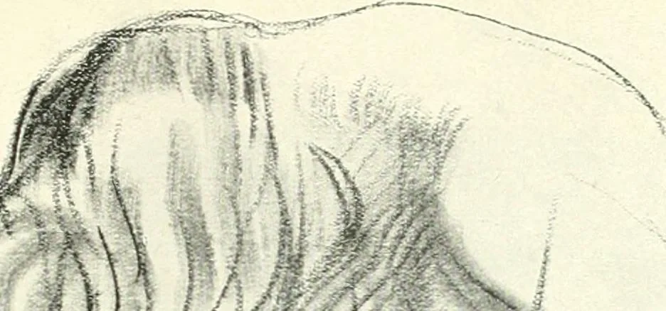 An illustration from The Slade; a collection of drawings and some pictures done by past and present students of the London Slade School of Art, MDCCCXCIII-MDCCCVII, 1907, leaf 76